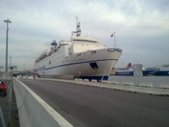 Ferry FLAMINIA in Bari