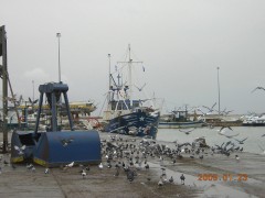 Port of Alexandroupolis