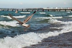 baltic beach