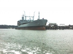 rfa orangeleaf