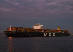 MSC Daniela