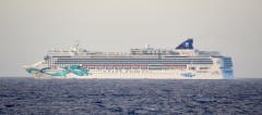 Norwegian Jade