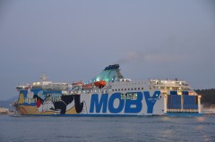 Moby Tommy in Olbia