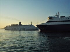 Daedalus - Blue Star Paros