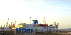MOBY BABY TWO at Piombino